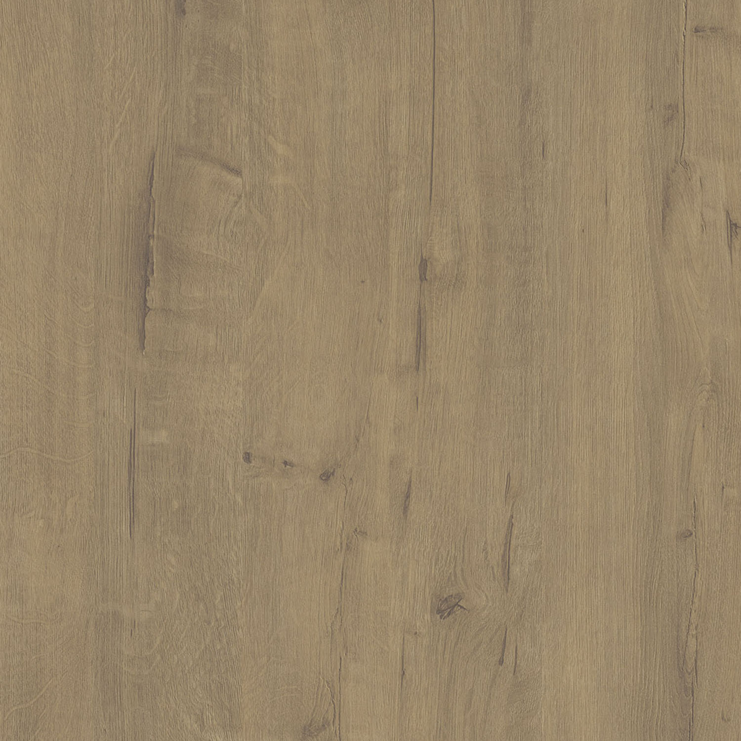 AG4511 Norto Gold OAK - 