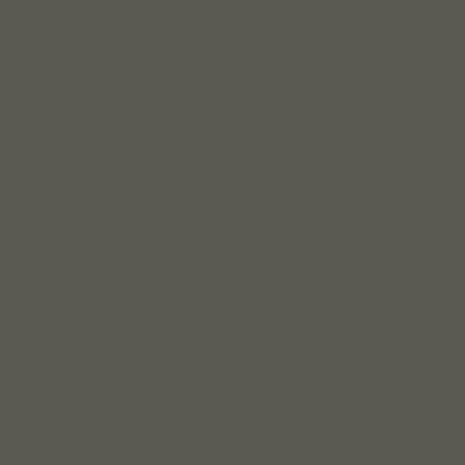 AG4250 PET Skin Dark Grey - 