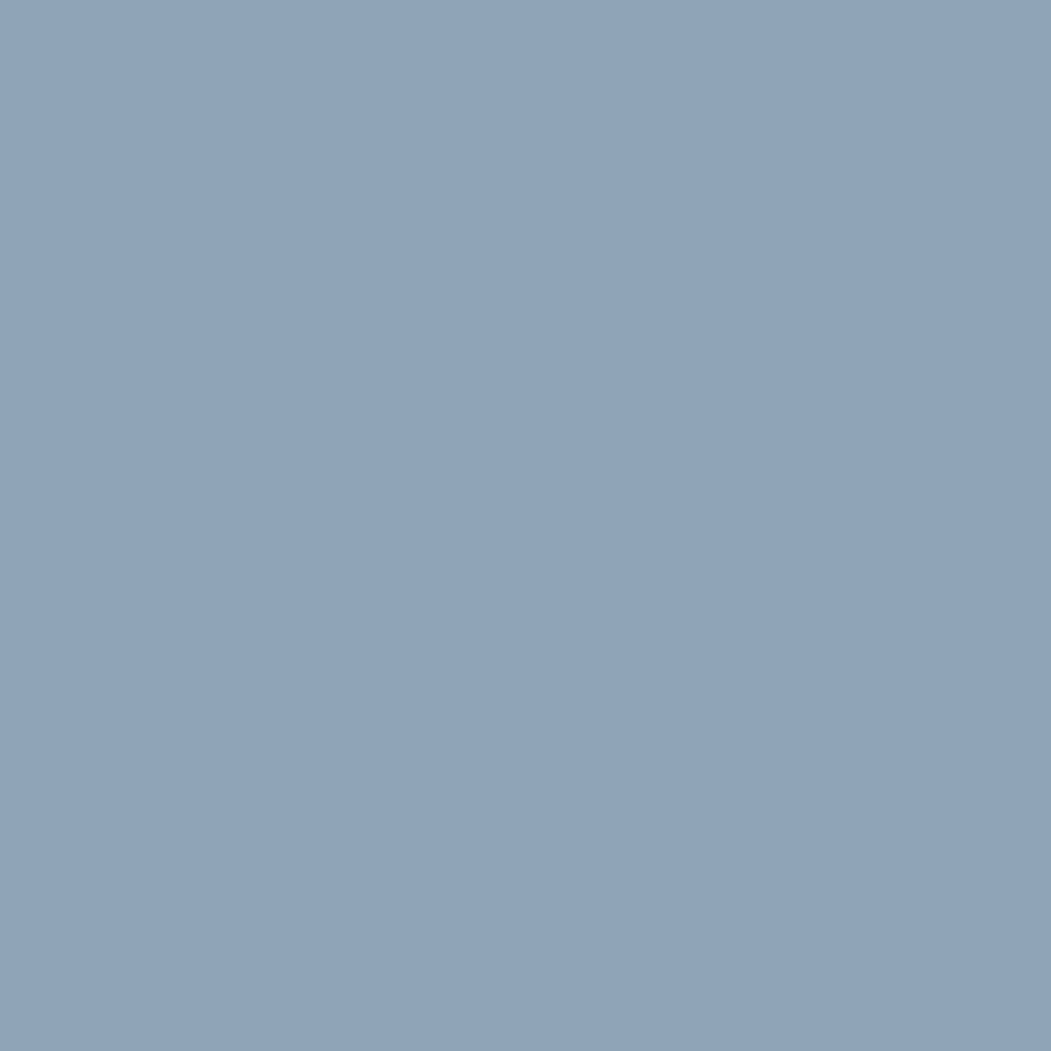 AG4253 PET Skin Sky Blue Skin Feeling -